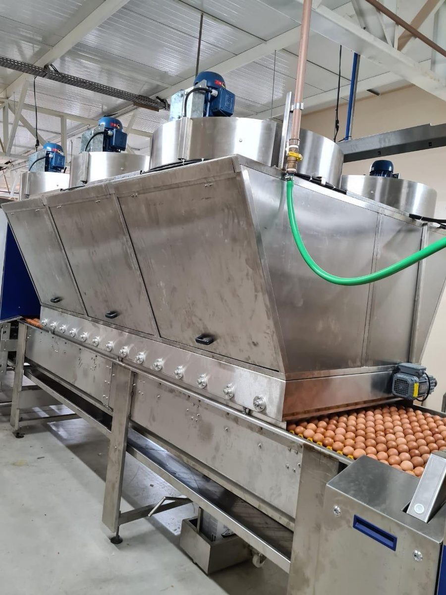 Lavador de Ovos com Secador
